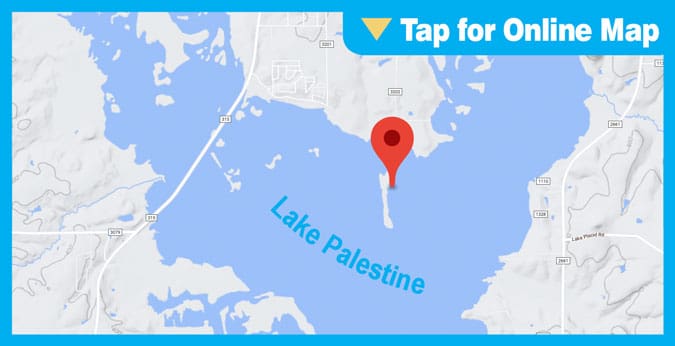 Lake Palestine