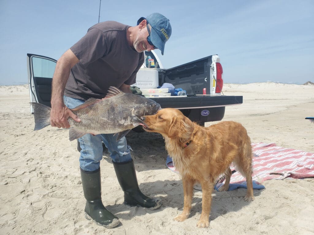dog licking fish