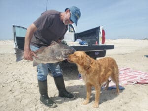 dog licking fish