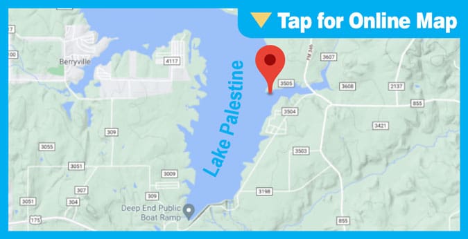 Lake Palestine
