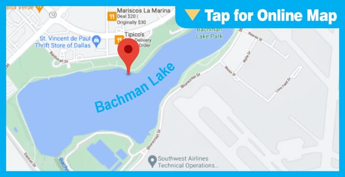 Bachman Lake