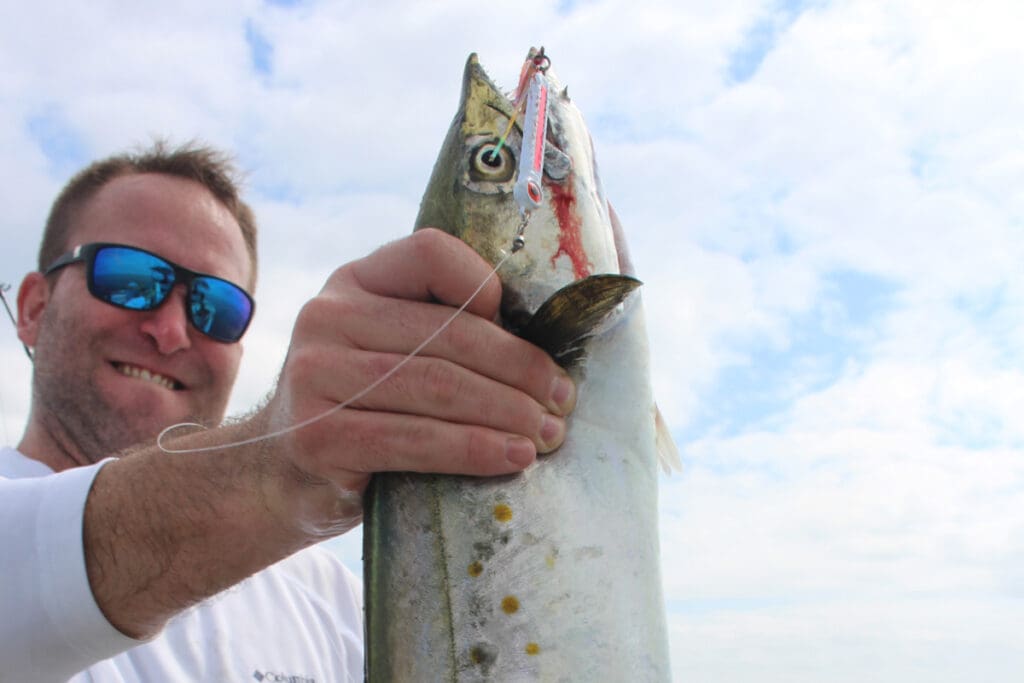spanish mackerel
