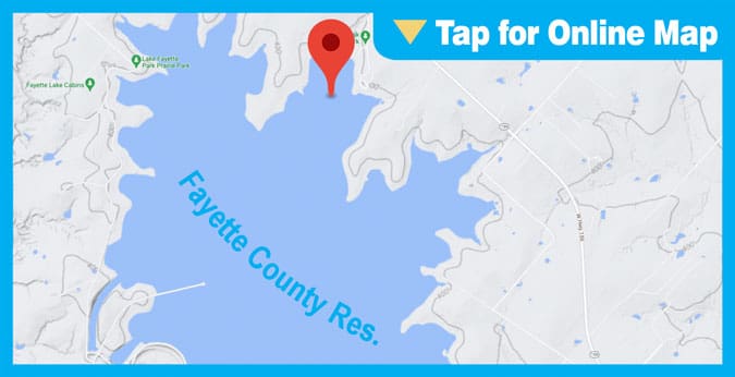 Fayette County