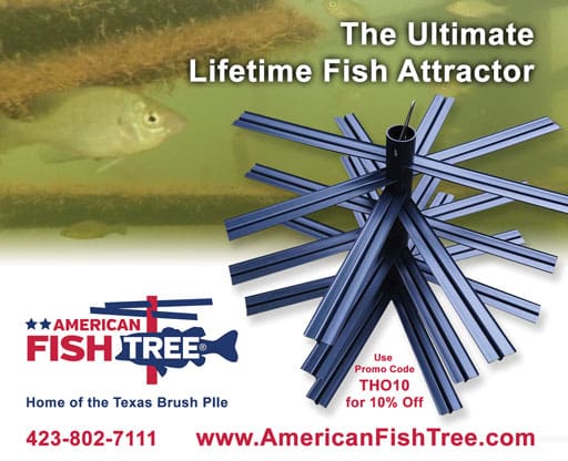 American Fish Tree