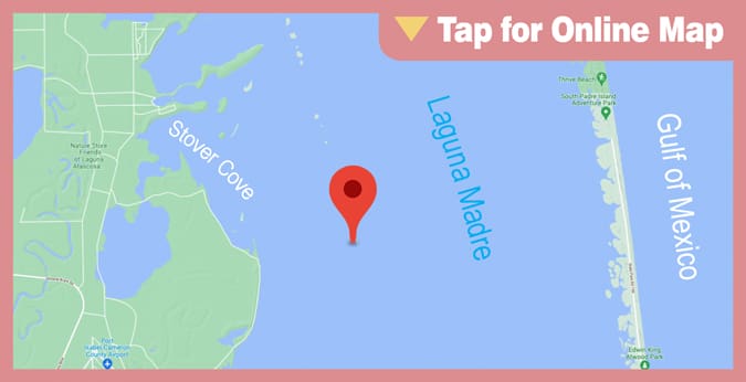 Lower Laguna Madre