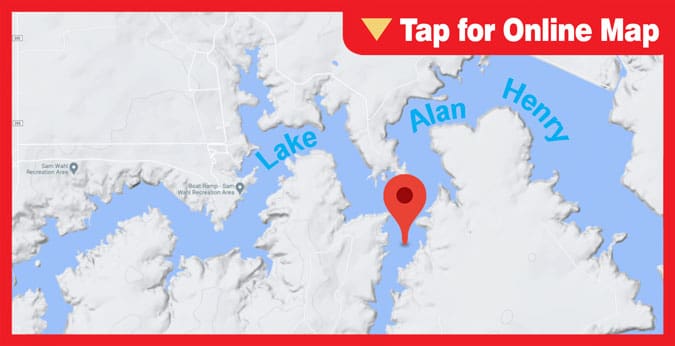 Lake Alan Henry
