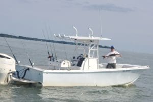 cobia on boat