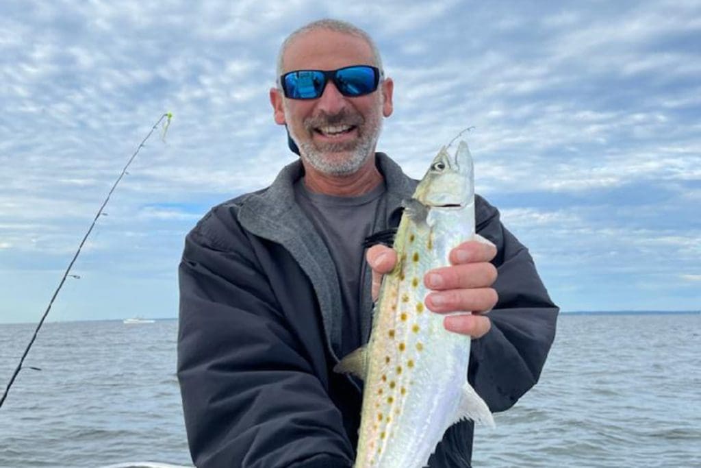 Spanish mackerel