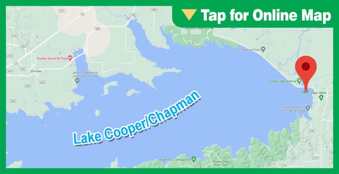 Lake Cooper/Chapman