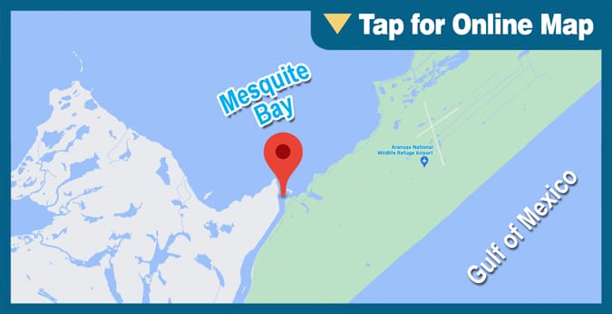 Mesquite Bay