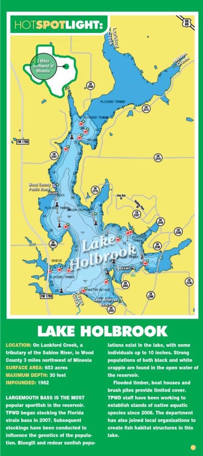 Lake Holbrook