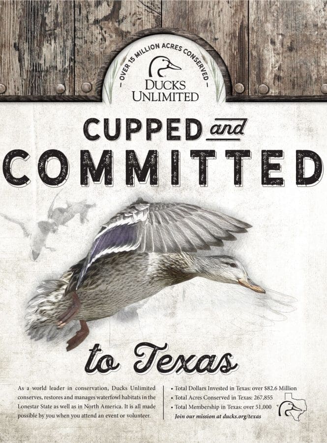 Ducks Unlimited