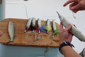 skirted ballyhoo