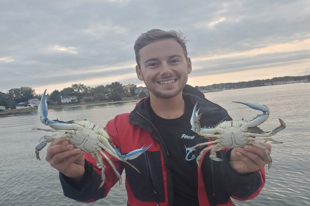 crabs