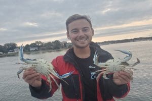 crabs