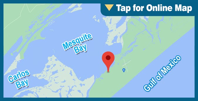 Mesquite Bay