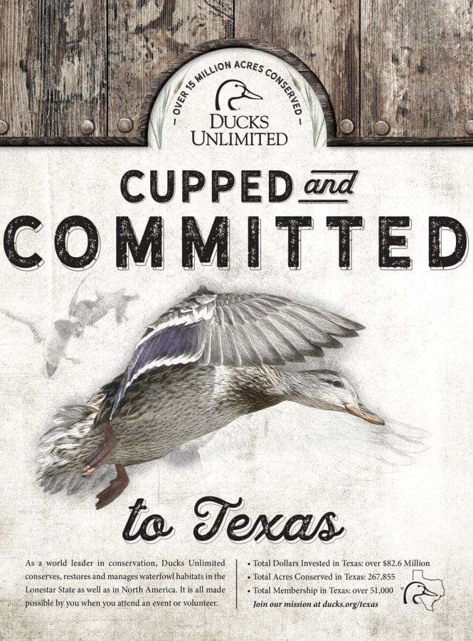 Ducks Unlimited