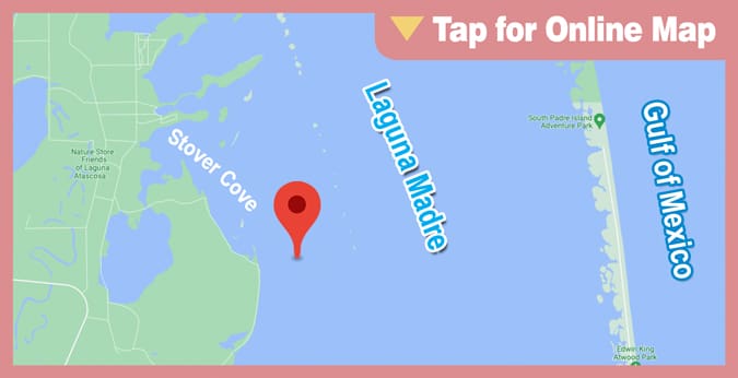 Lower Laguna Madre