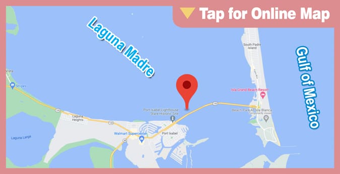 Lower Laguna Madre