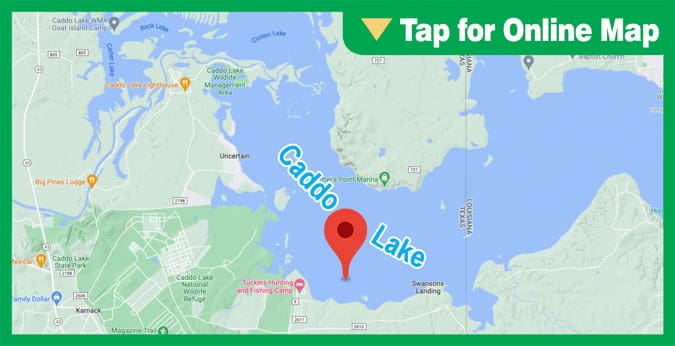 Caddo Lake: Bird Island Area