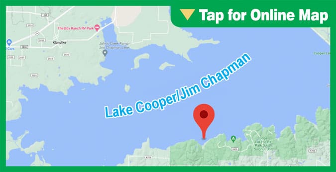 Lake Cooper/Chapman: Finely Branch Creek