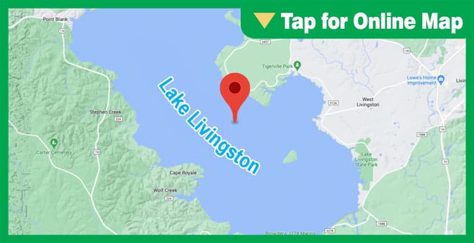 Lake Livingston: The Lump