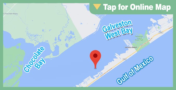 Galveston West Bay: Snake Island