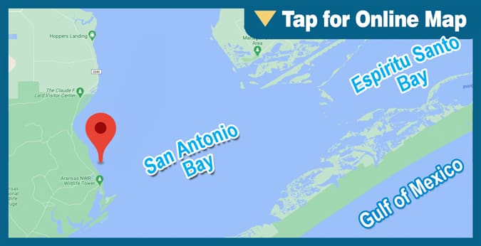 San Antonio Bay: Chicken Foot Reef