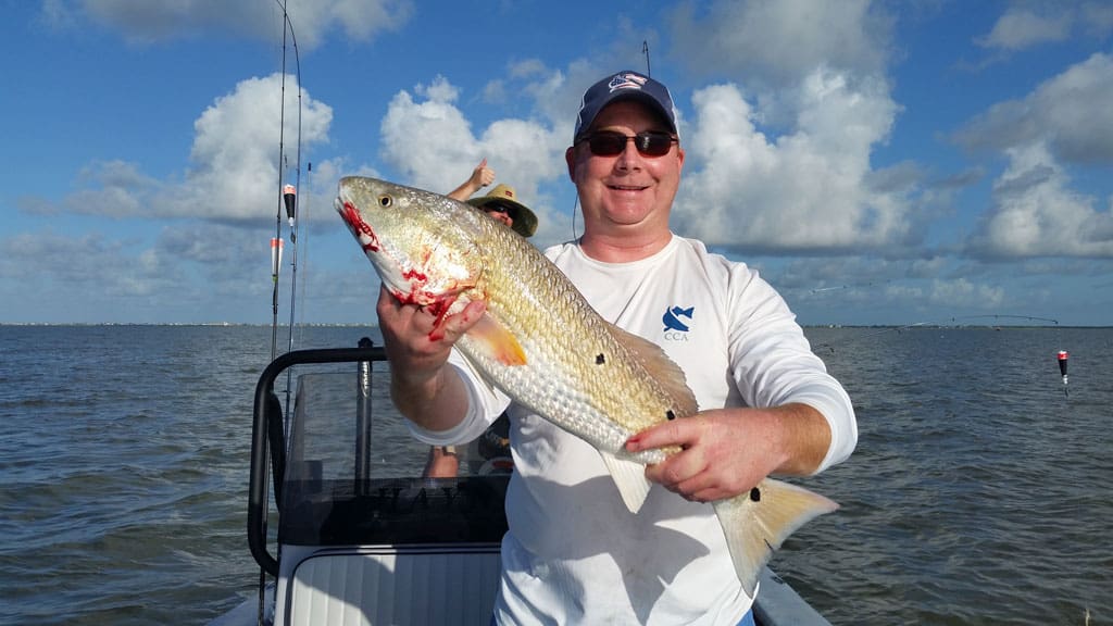 Redfish have been a staple for Matagorda anglers in the wake of last year’s freeze.
