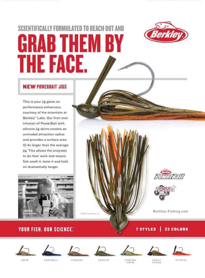 Berkley Jigs