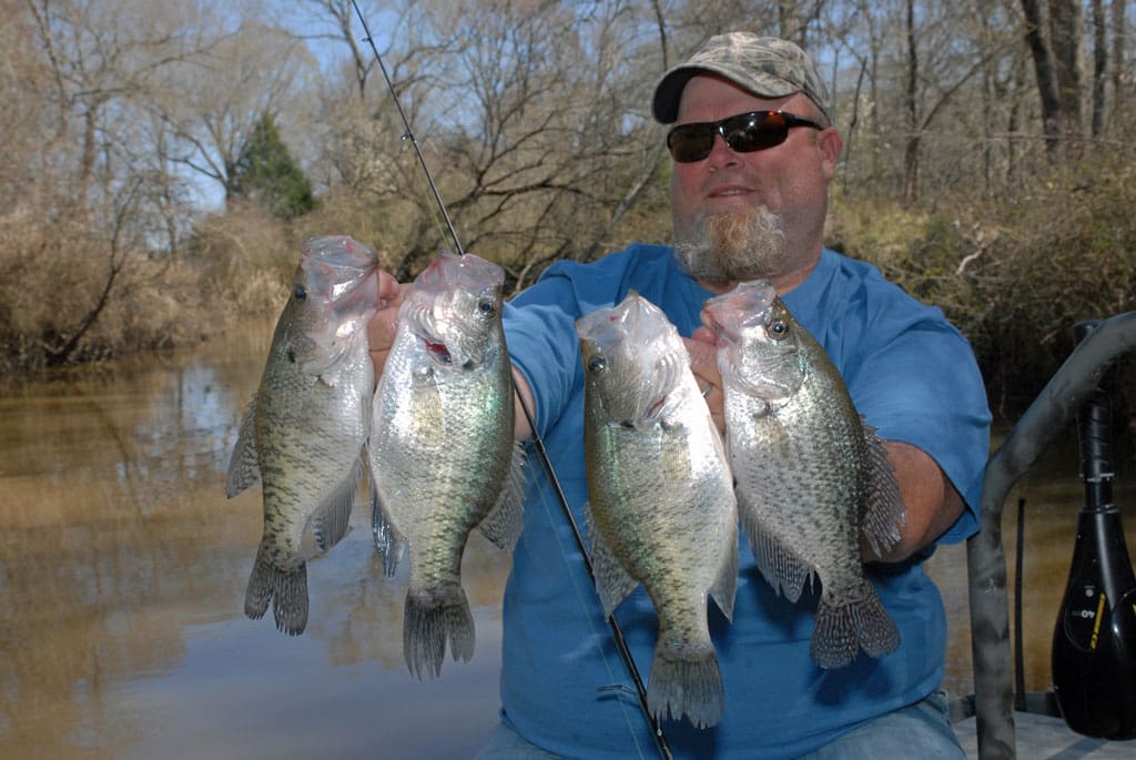 Texas has a lot of good crappie lakes producing big numbers, and big fish.