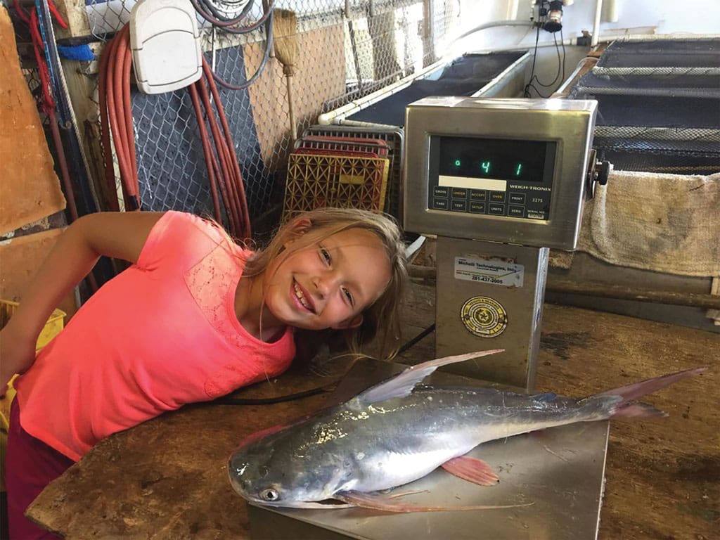STAR offers scholarships for kids and teens who catch big sheepshead and gafftops.
