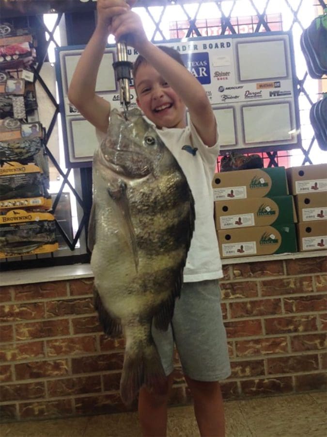 The inshore division includes heaviest gafftop, sheepshead and black drum.