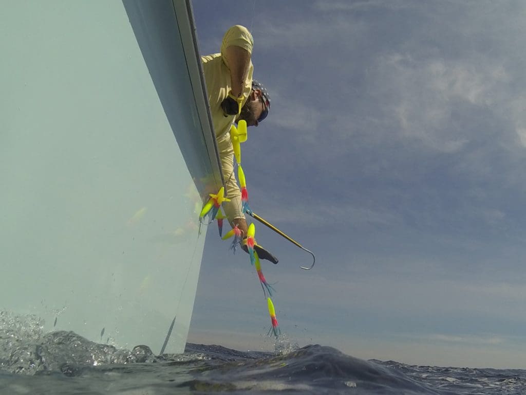 gaffing a fish