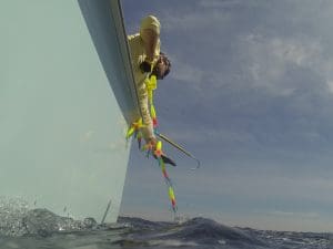 gaffing a fish