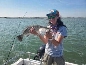 speckled trout