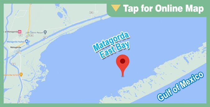 Matagorda East Bay: Cleveland Reef
