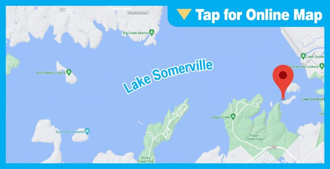 Lake Somerville: Little Crappie Point
