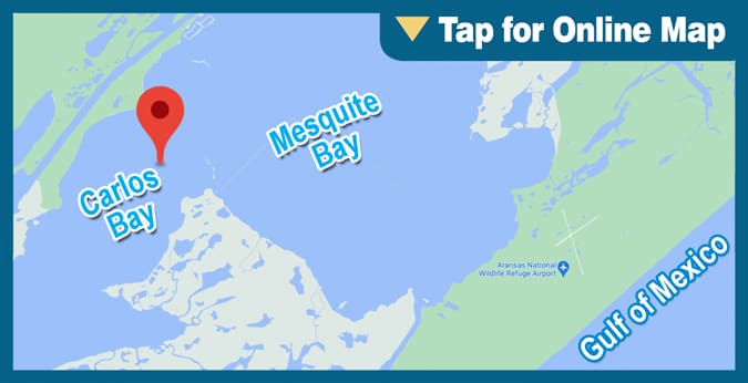Carlos Bay: Cedar Reef