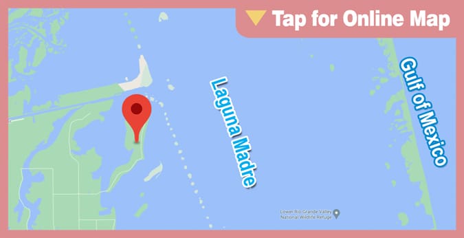 South Padre Island: Horse Island