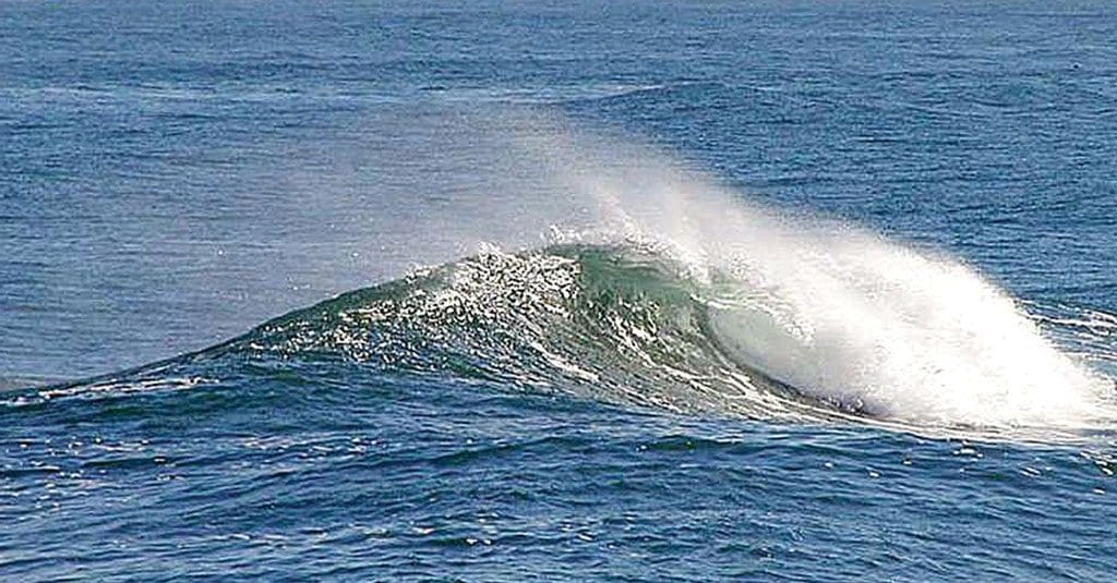 Rogue waves can be silent and come across miles of open bay.