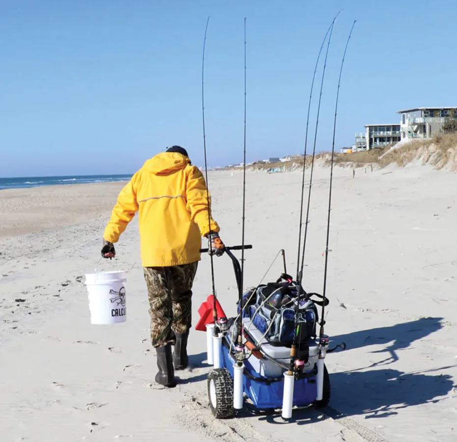 Surf Cart