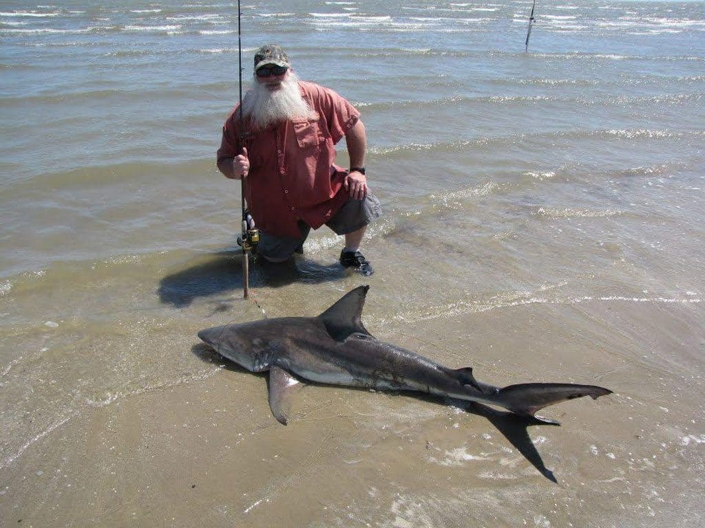 Marcus Heflin caught this big bull shark while fishing at Sea Rim State Park. Shark fishing is available for free or very inexpensive access all along the Texas Gulf Coast.