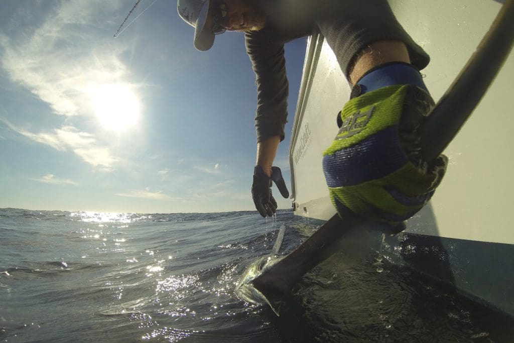 swordfish fishing