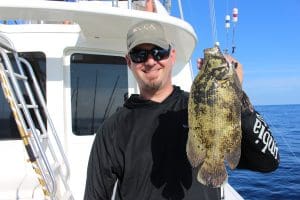 tripletail fish