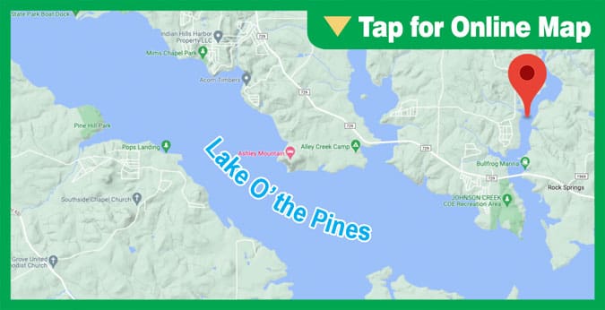 Lake O the Pines: Johnson Creek Back End