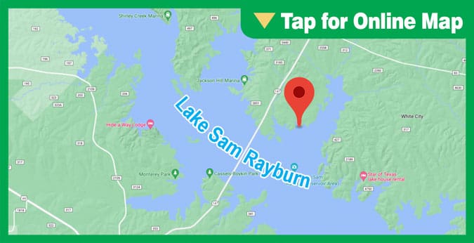 Lake Sam Rayburn: Hogg Branch