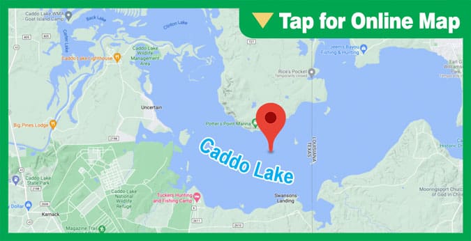 Caddo Lake: Main Lake Pad Fields