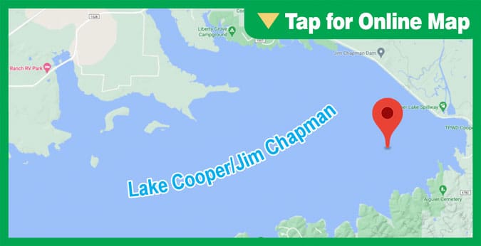Lake Cooper: Moore Creek Buoys