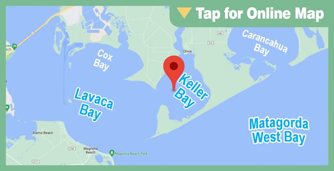 Keller Bay: Mud Reef